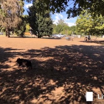 Corvallis Dog Park photo 2